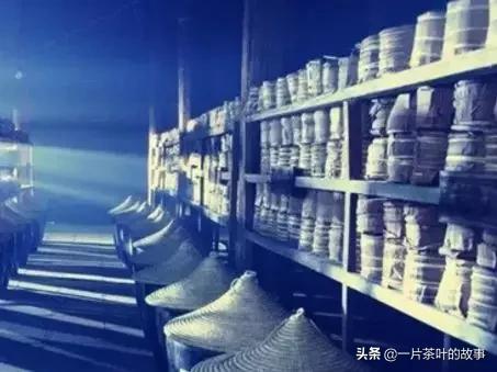 你家的茶叶长“茶虫”吗？冬季“四防”要诀