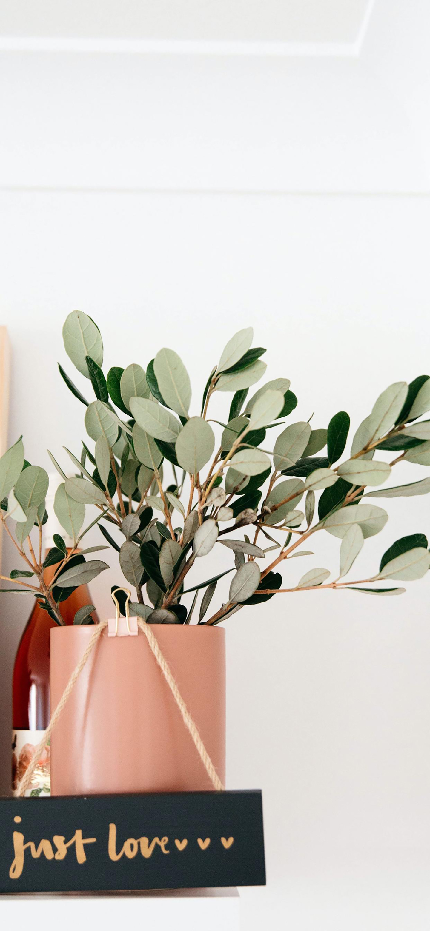 清爽壁纸高清手机壁纸,清晰到极致的手机壁纸图片