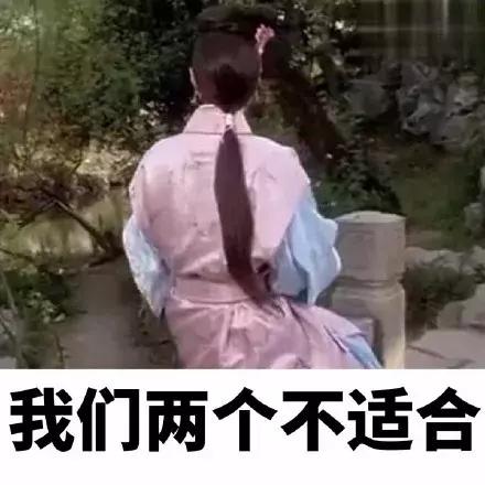 我家荷兰猪为啥总喜欢跳出笼子,荷兰猪奇葩名字