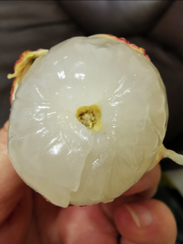 皮肤过敏怎么查过敏源多少钱,皮肤过敏过敏源有哪些