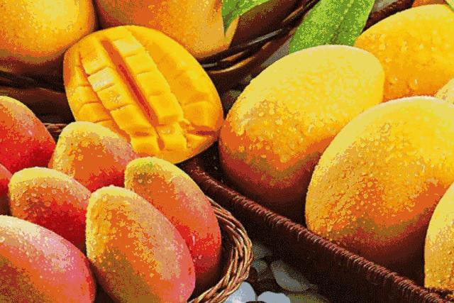 烟台蓝莓采摘园,烟台摘蓝莓的地方