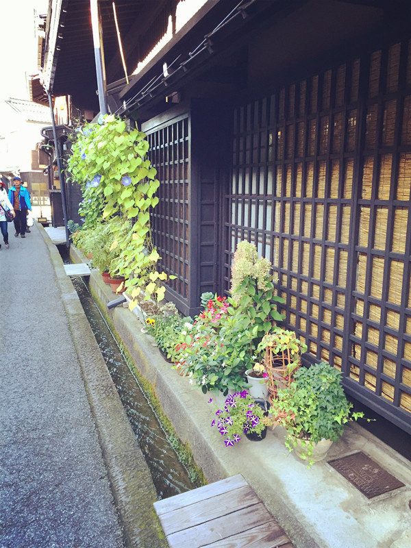 五天四夜日本邮轮游,名古屋四日自由行攻略