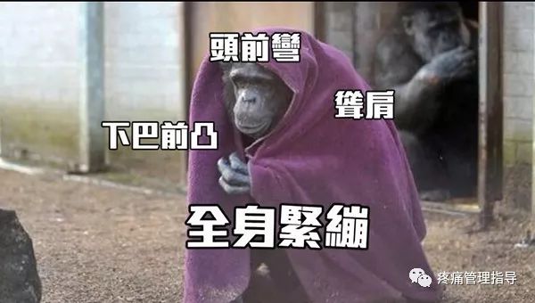 为什么天冷肩颈就痛起来,为什么天冷颈肩不舒服