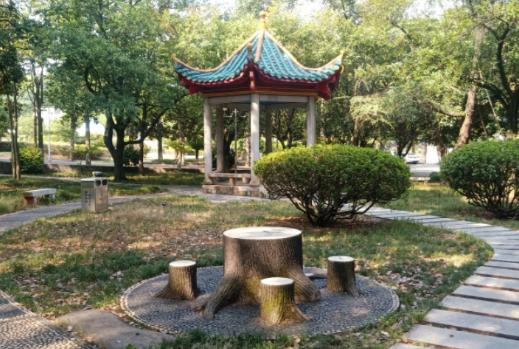 北大博导学历遭学生嫌弃后续,北大学历被质疑的女教授