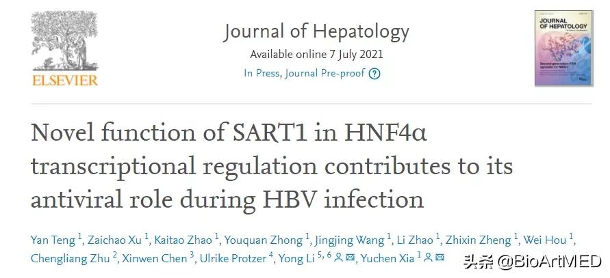 乙肝病毒感染的免疫学机制是什么,病毒科学领域实验