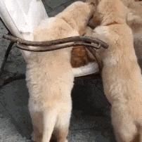 搞笑gif段子兄弟你把我吓到了,搞笑gif段子实在是猝不及防啊