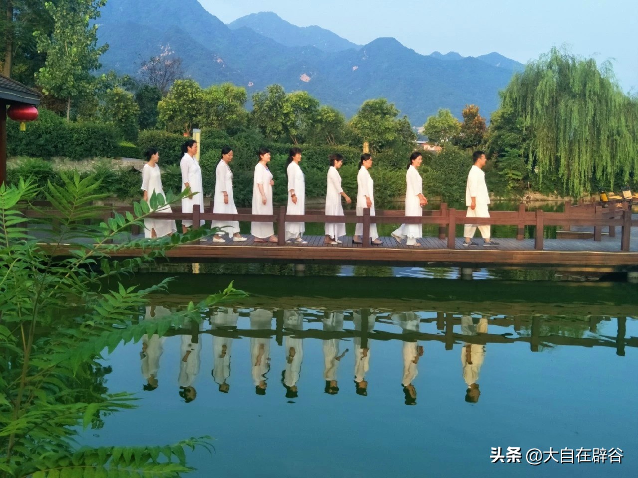 阳气上升辟谷有效果吗,三伏天辟谷冬病夏治