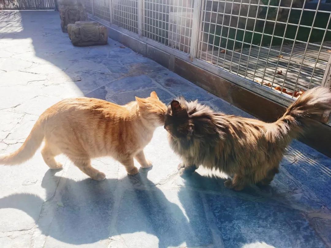 拼头条吗？好姐妹就要一起上啊