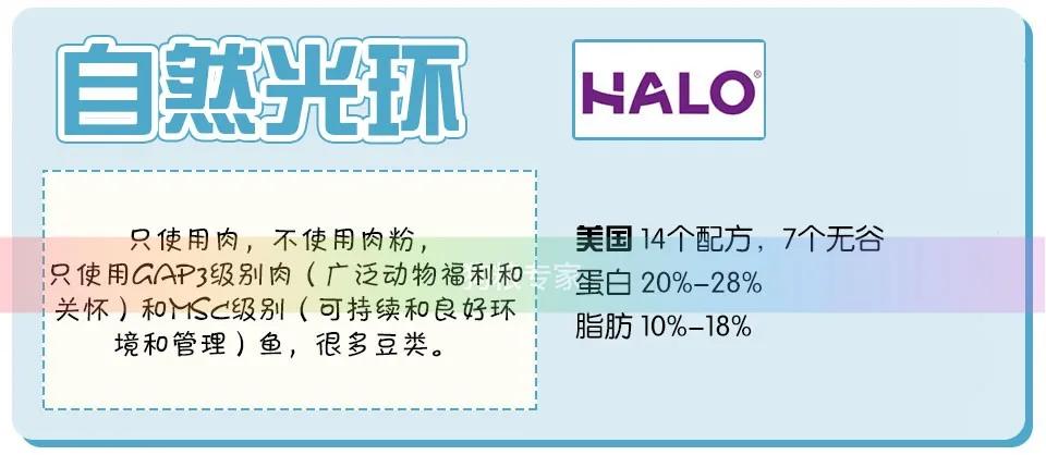 wdj鎺ㄨ崘鐨勭嫍绮帓琛屾,2020wdj鐙楃伯鎺掕