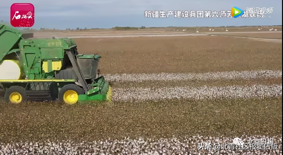 惹众怒被群殴合集,官方回应hm事件