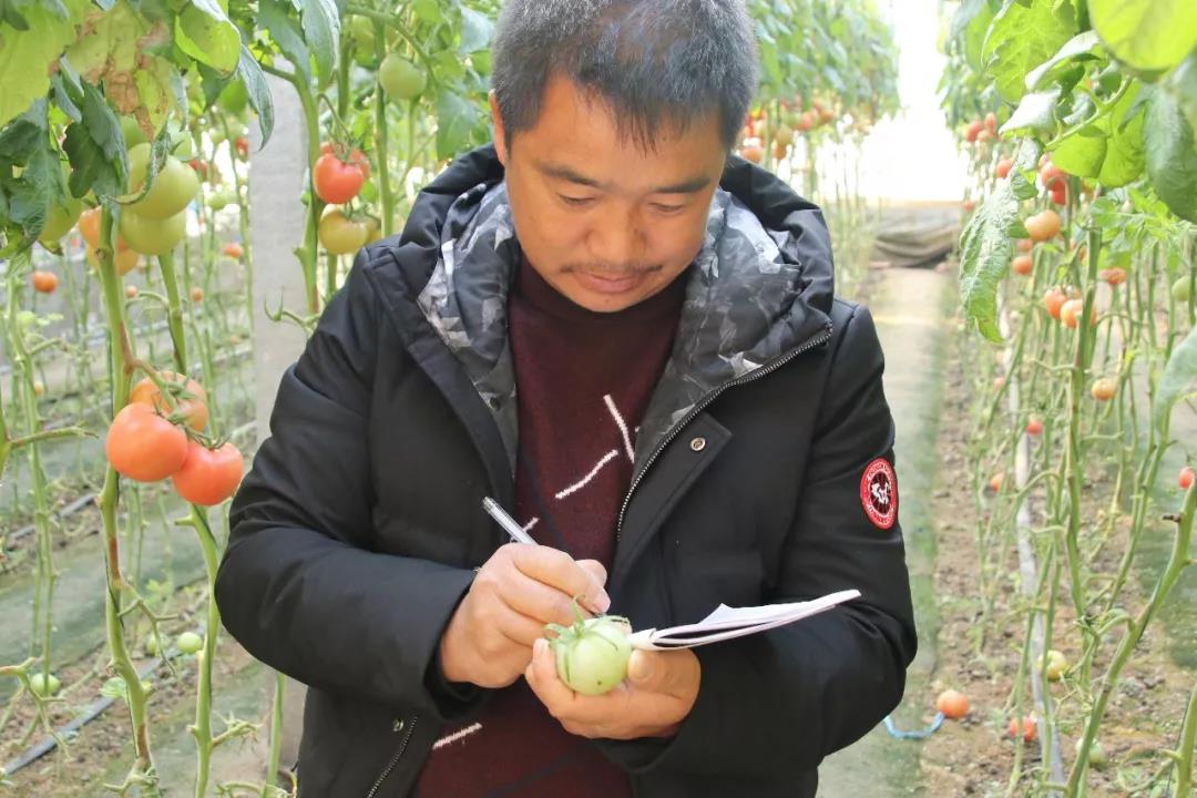 抢名额，19期中国无土栽培和土壤种植技术升级集成培训会
