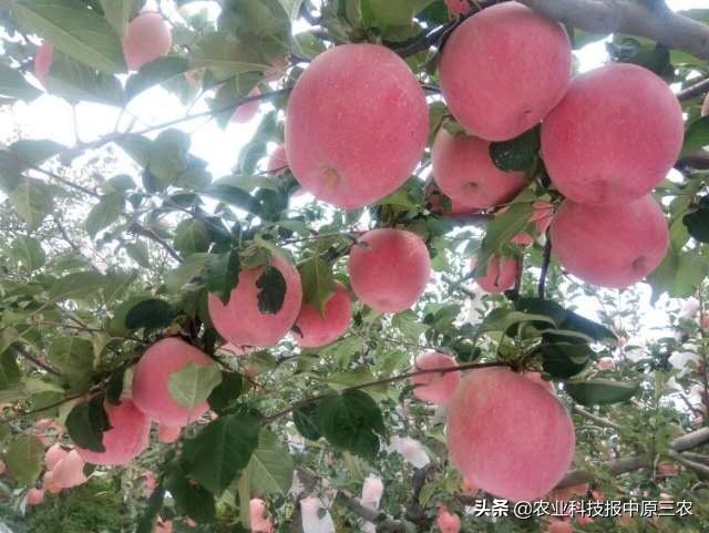 上海海证期货,海证期货是正规平台吗