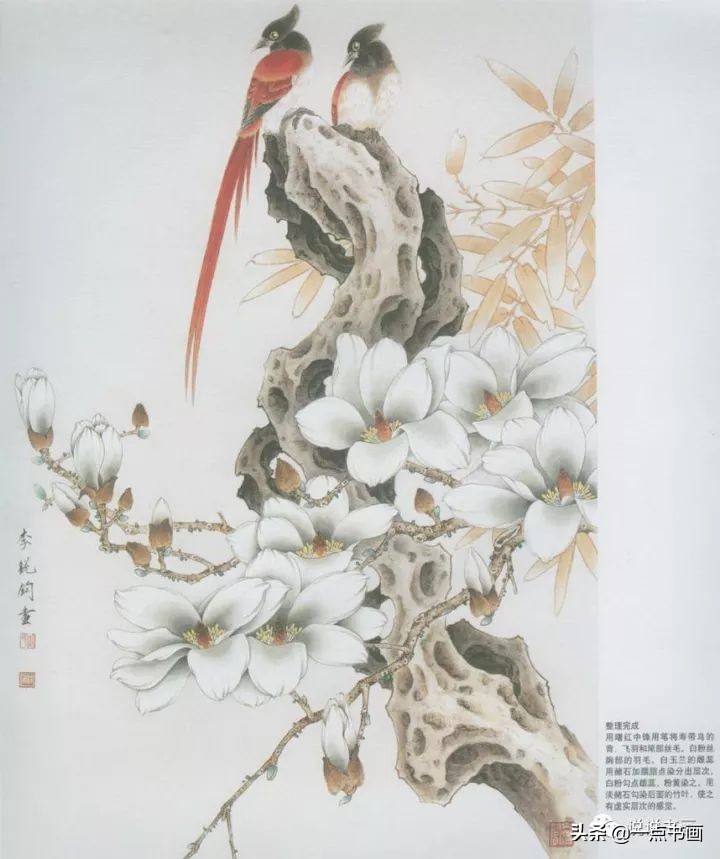 玉兰花的画法和枝干布局,玉兰花的素描画法步骤图