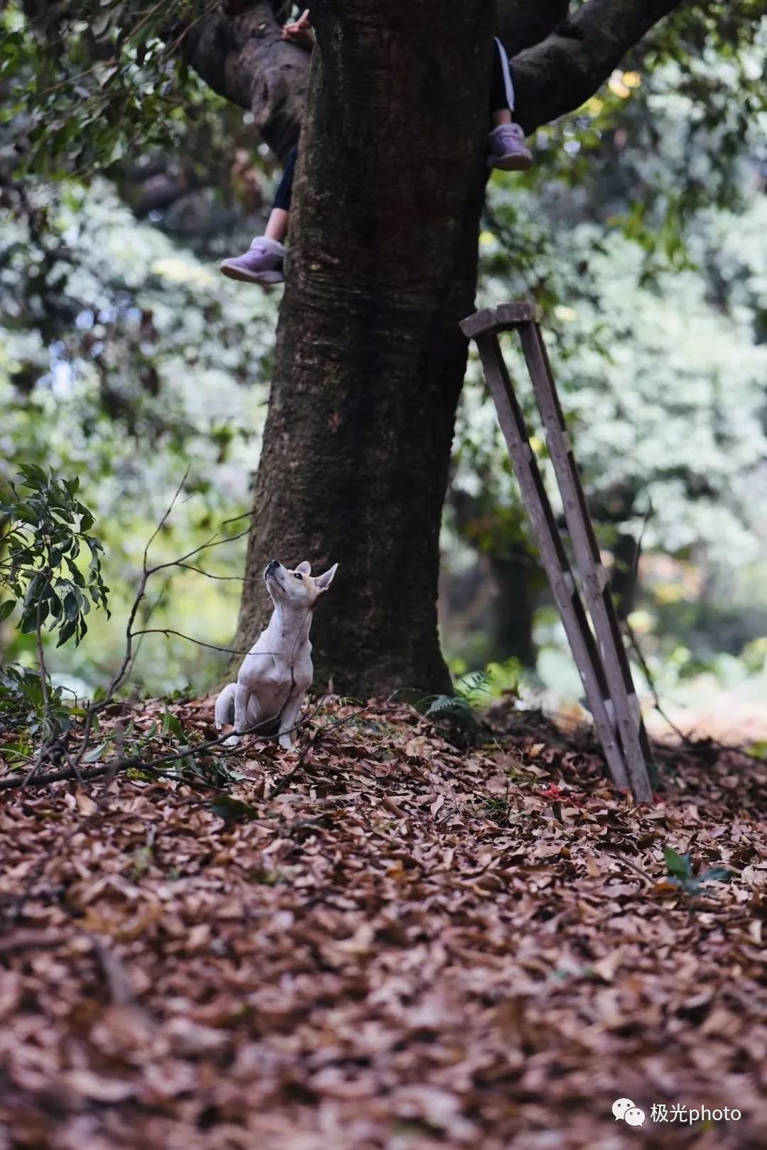 我们身边的姐妹这样记录她们的「非常」生活