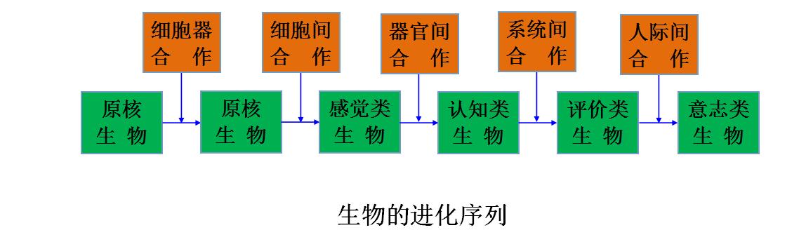 生物进化论和社会进化论,生物进化论与哲学