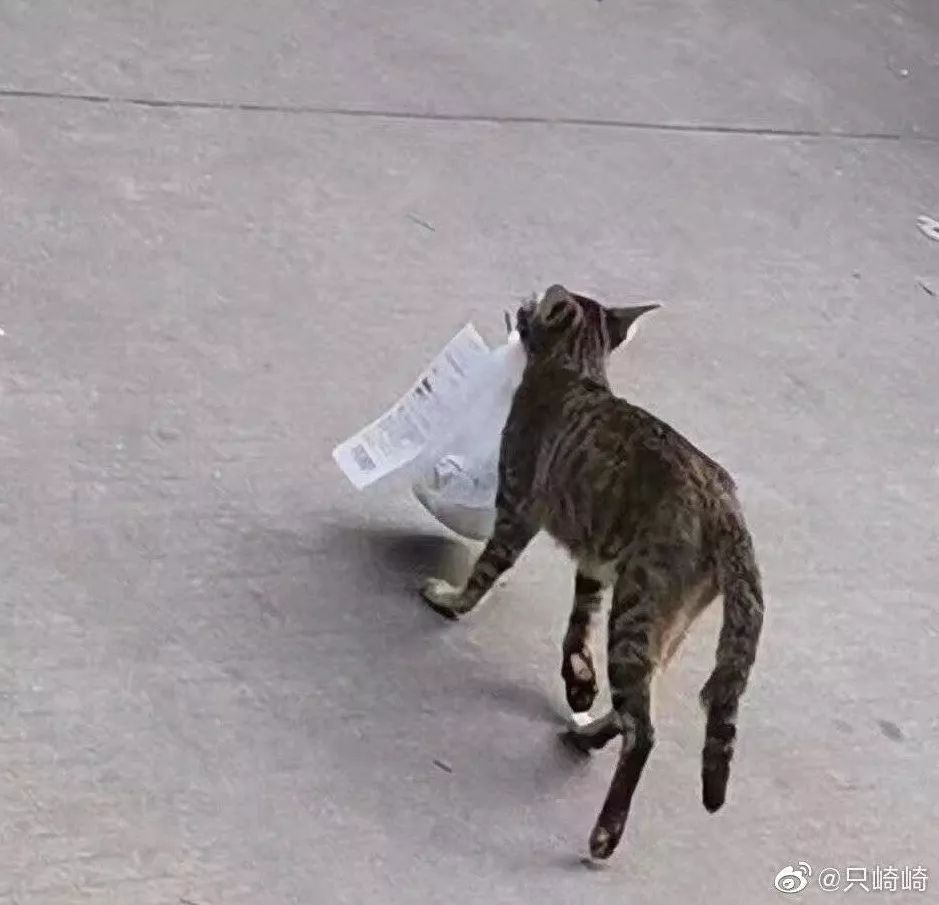 闉嬪瓙琚滃瓙琚埆浜哄伔,闉嬪瓙琚滃瓙琚伔