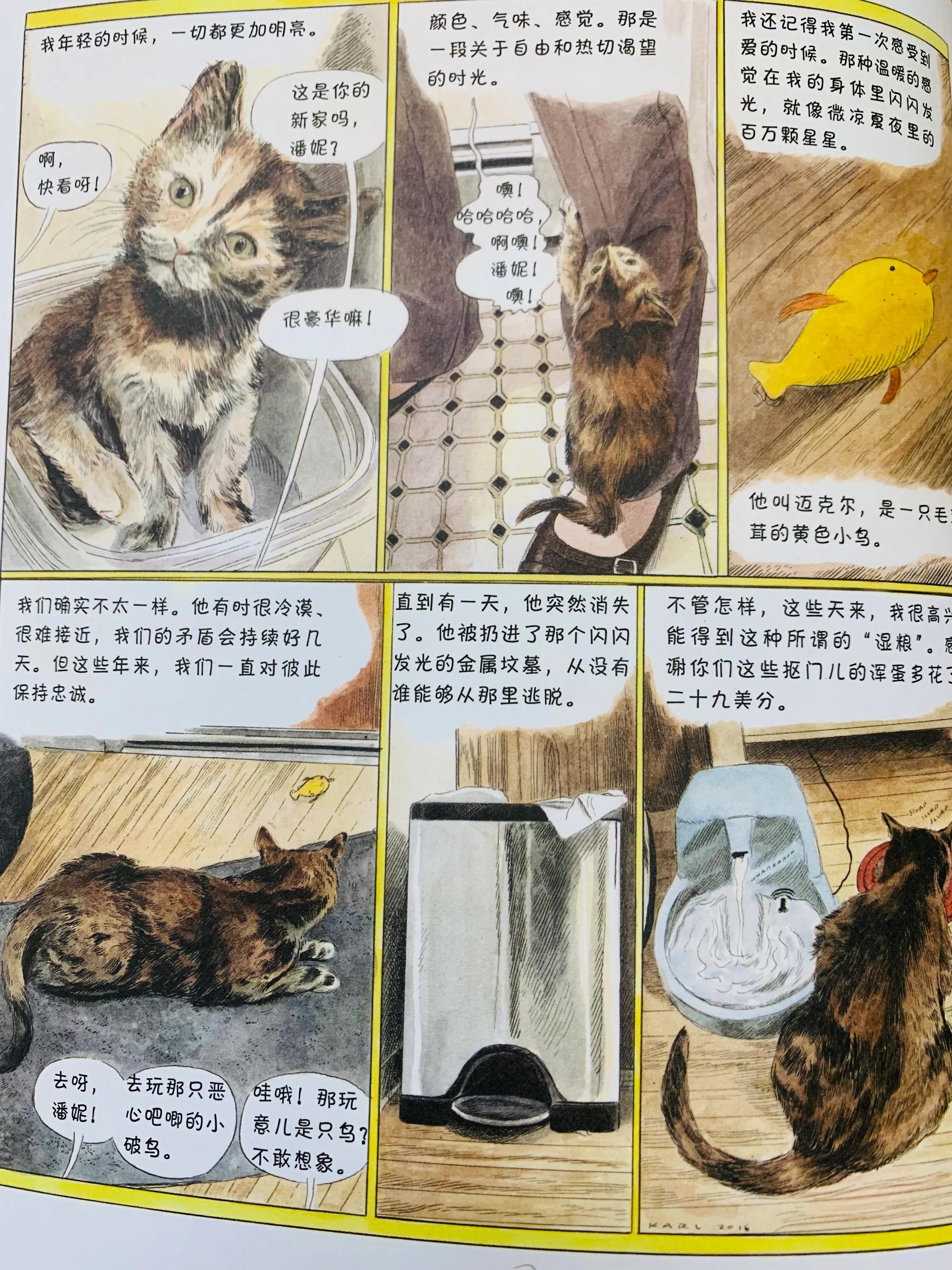 一个关于猫的搞笑漫画,猫咪治愈可爱漫画
