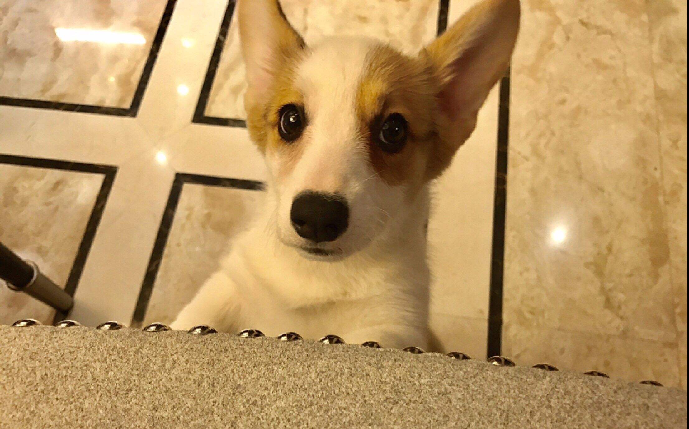 许嵩大学时期写歌,听着许嵩的歌长大的90后