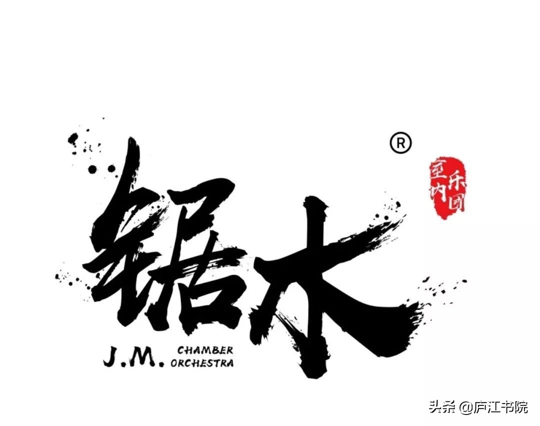 广州好人与音乐家面对面（六）——青年提琴制作家李子球