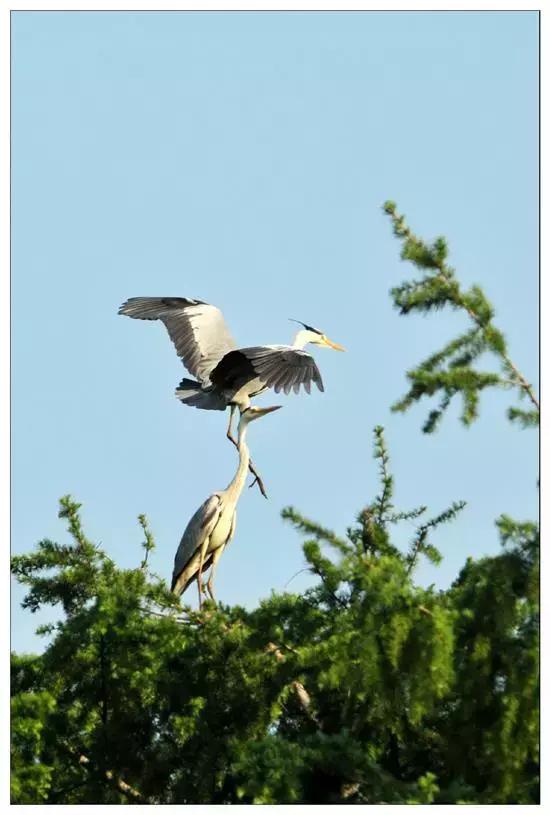 吉黑高速开通，途经吉林市哪些旅游景点呢？