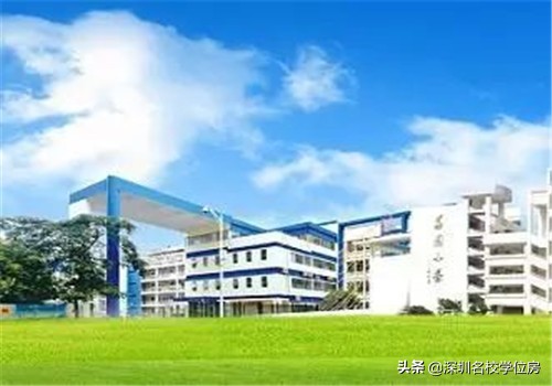 深圳荔园小学,深圳荔园集团旗下学校