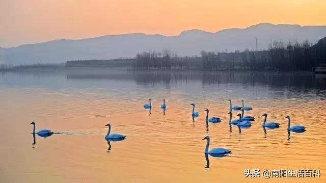 河南南阳的名字是怎么来的,南阳的名字叫什么