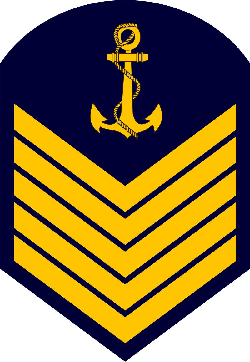 巴西军衔图片,各国军衔标识俄罗斯