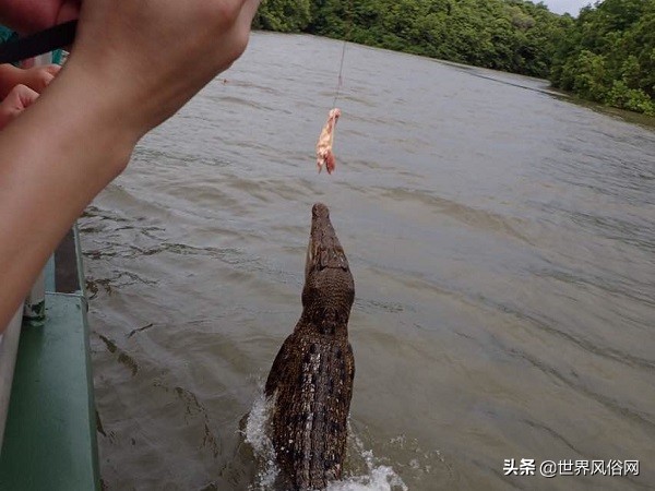 漫漫浪帕劳旅游,帕劳旅游酒店价格表