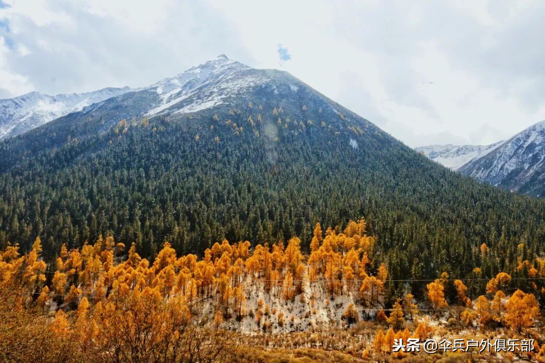 国内值得自驾的七条绝美路线,适合7天自驾的最美路线