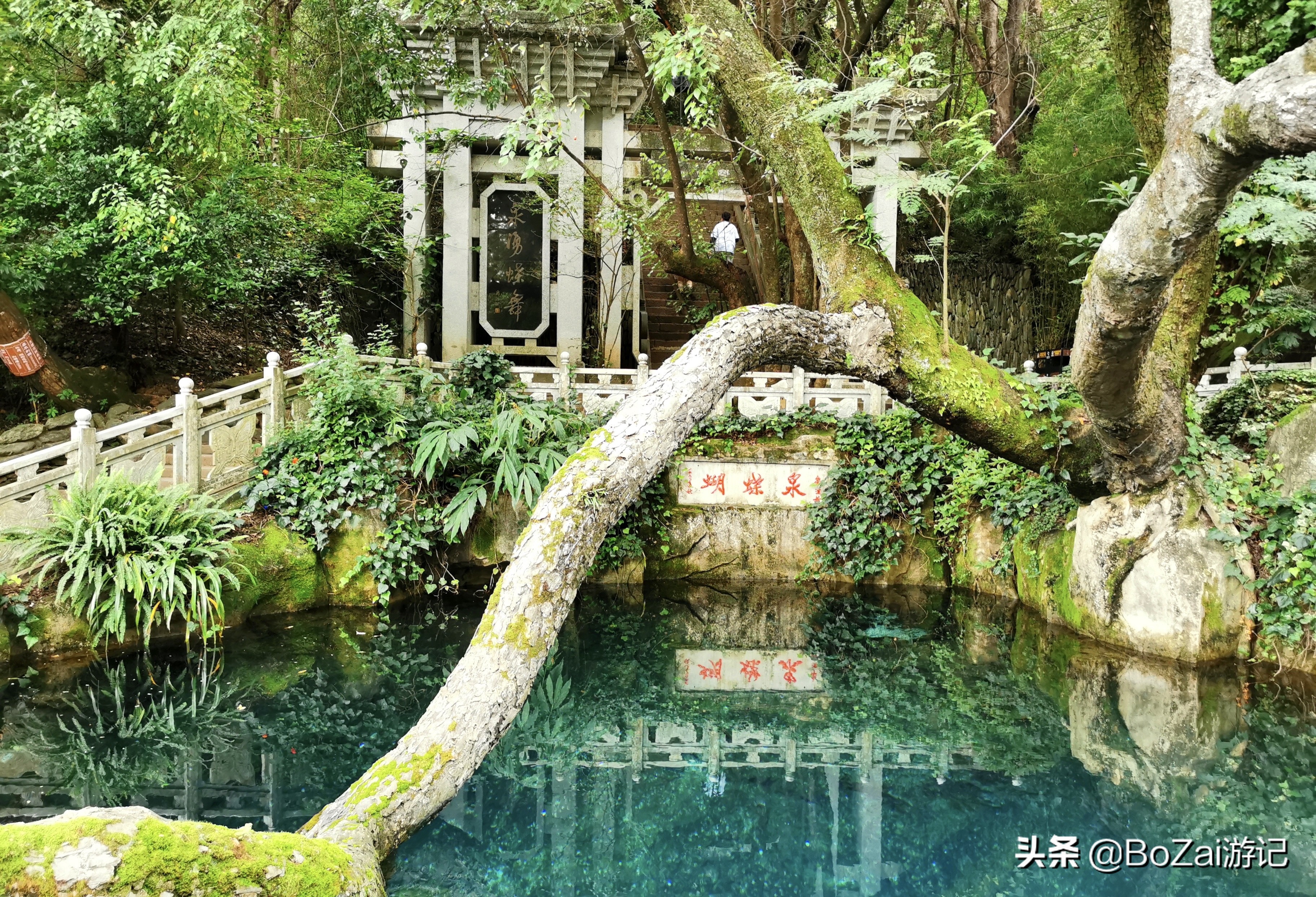 来云南大理旅游攻略必去景点,云南大理十大景点旅游攻略