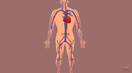 酱油清肠，避孕药洗头，这些自杀式养生为什么总有人信？