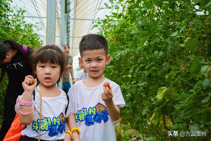 这个夏日，看这个美女如何在浙江乌村的第一百种玩法