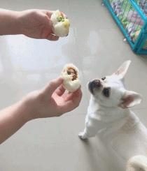 搞笑gif动图开心一刻,搞笑gif开心视频