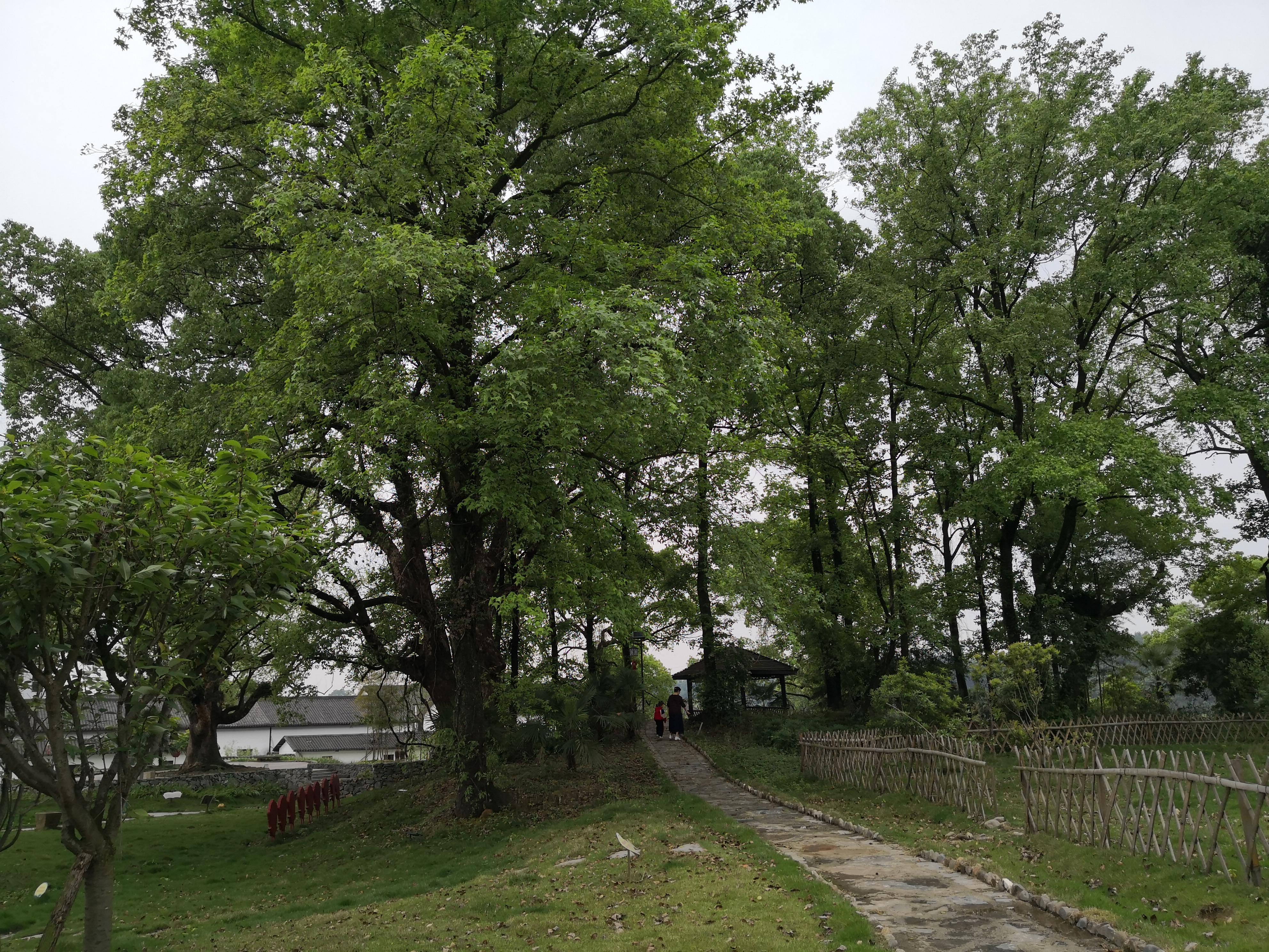 妈妈那边的亲戚称呼大全,山东亲属称呼大全