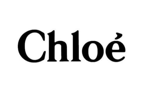 小仙女的值得购买的chloe包包,小仙女必买平价包