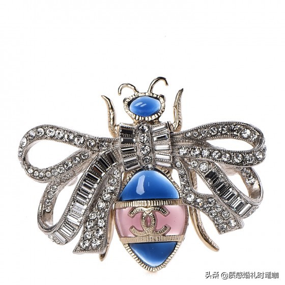 蝗虫算是物种入侵吗,蝗虫是圣甲虫吗