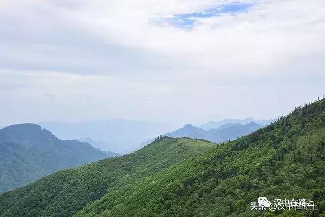 探秘汉中,汉中一村子窜入野生羚牛