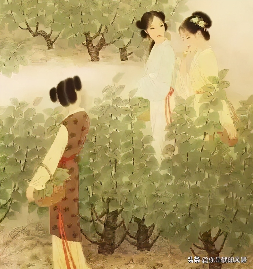 诗经木瓜爱情观,诗经中木瓜的主旨解读