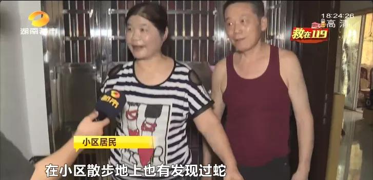 常年在垃圾桶旁边的蛇,垃圾桶里面有一条大蟒蛇