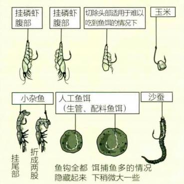 「日本专业矶钓书籍」团子饵钓法，初学者最佳矶钓钓技