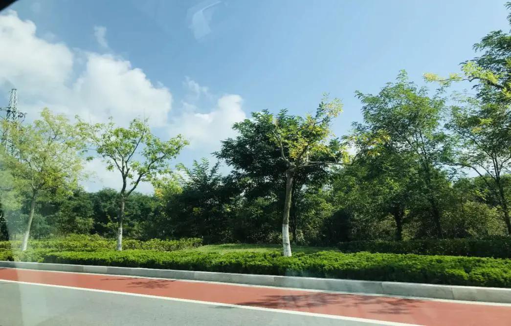 探寻北纬37度的秘密——一个向海而生的乐活小镇