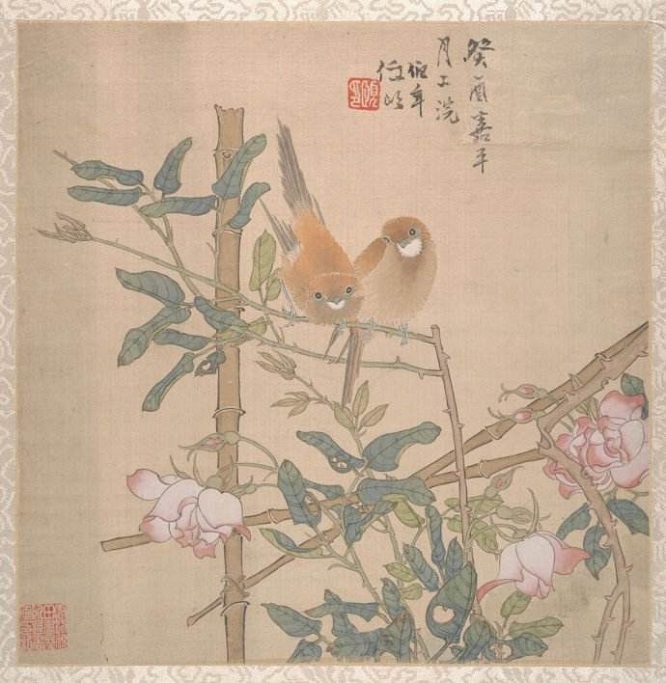 百花之王玫瑰：与华夏民族共同成长，在华夏的栽培从未中断