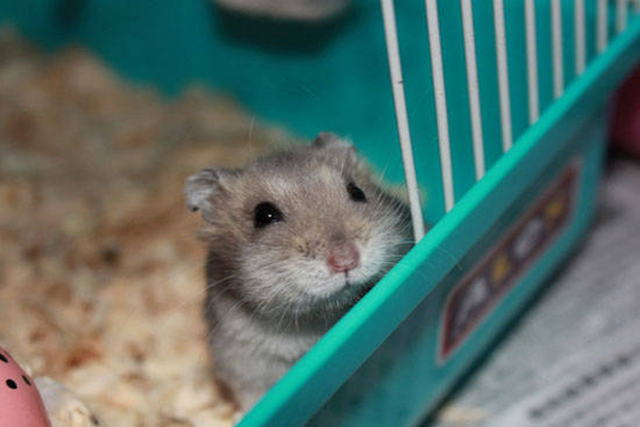 璋冪毊鎹ｈ泲浠撻紶,璋冪毊浠撻紶