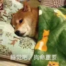 自酿葡萄酒的功效与作用,自酿山葡萄酒很涩怎么办