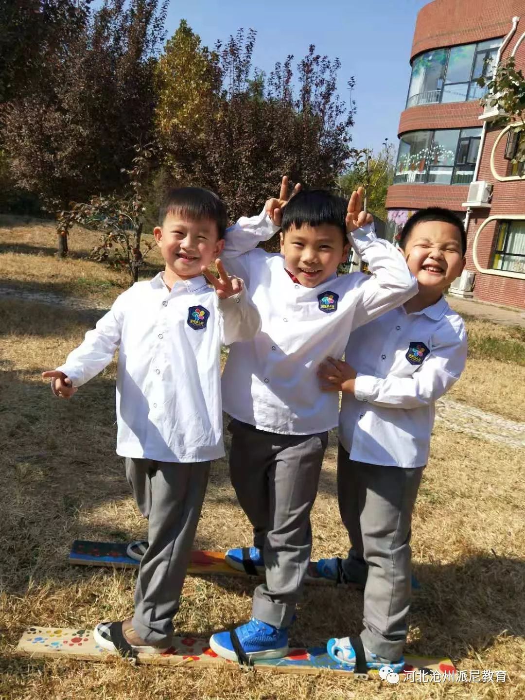 木头大变身,木板变神器