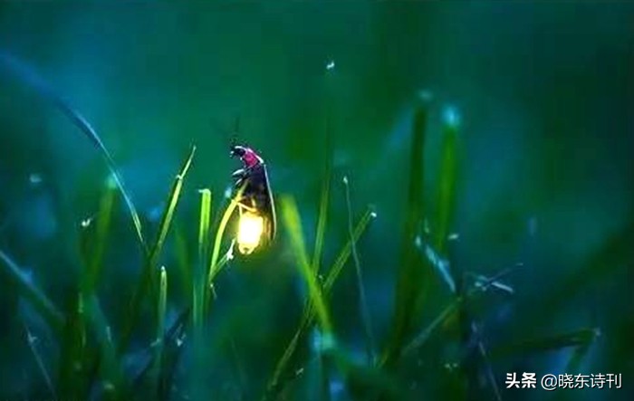 「黎明拾穗」43期诗词41首，首页篇篇造网红，风流戏子逞英雄