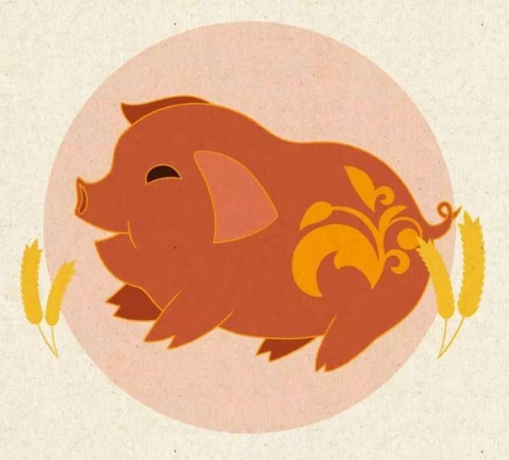 今年猪年的新年是哪一天,猪年几年一个本命年