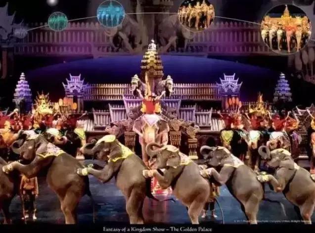 小飞象真实事件,小飞象的真实故事