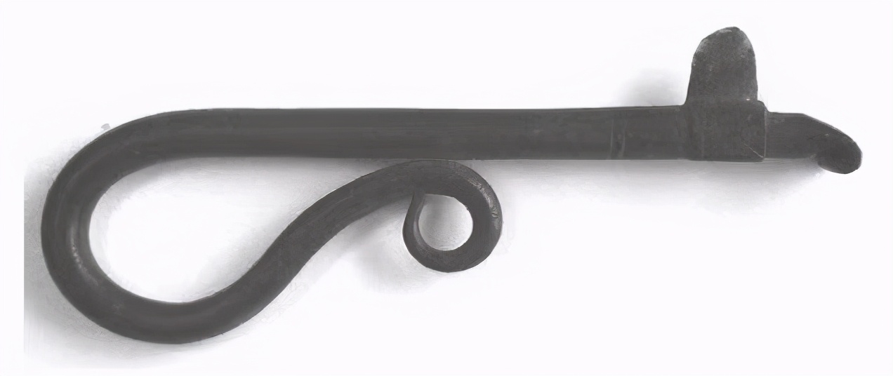 近代欧洲人曾将水蛭放入体内吸血——来治疗各种疾病