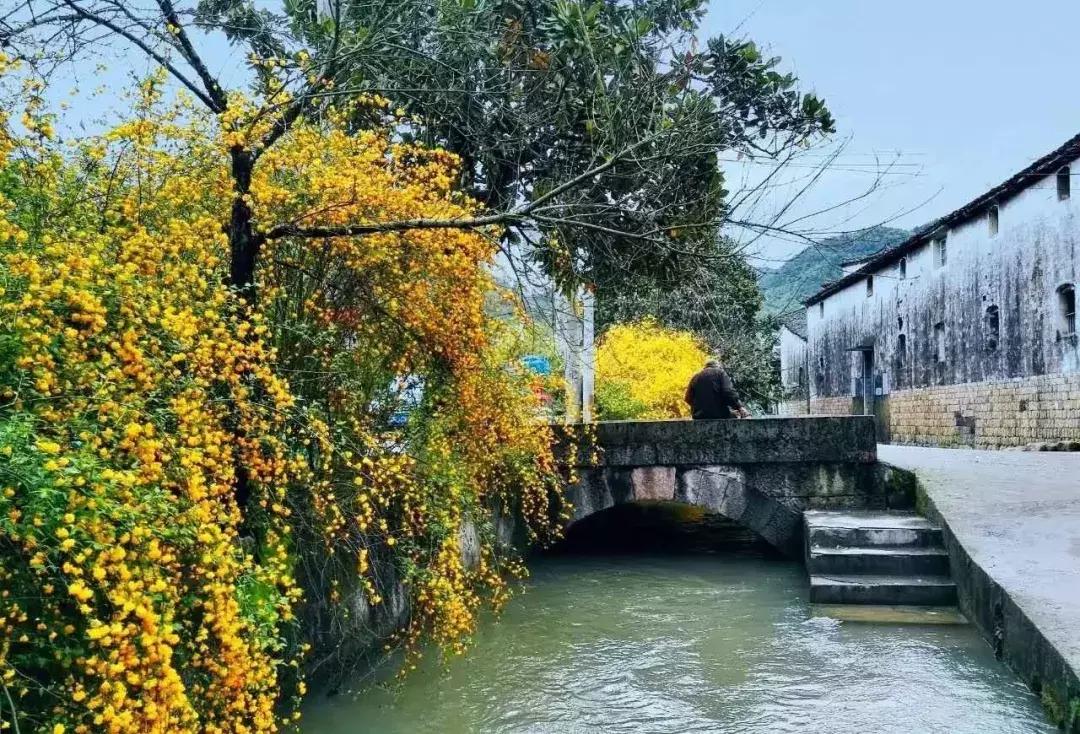 绍兴新昌一日游最佳景点,知否新昌取景地